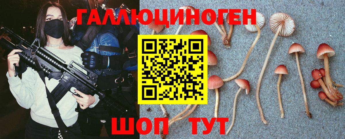 Галлюциногенные грибы GOLDEN TEACHER Волгоград