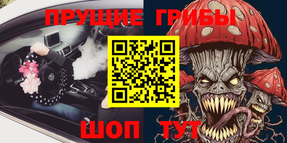 Волгоград  Галлюциногенные грибы Cubensis  Вход с VPN 